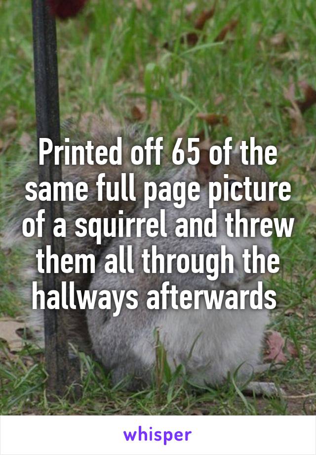 Printed off 65 of the same full page picture of a squirrel and threw them all through the hallways afterwards 