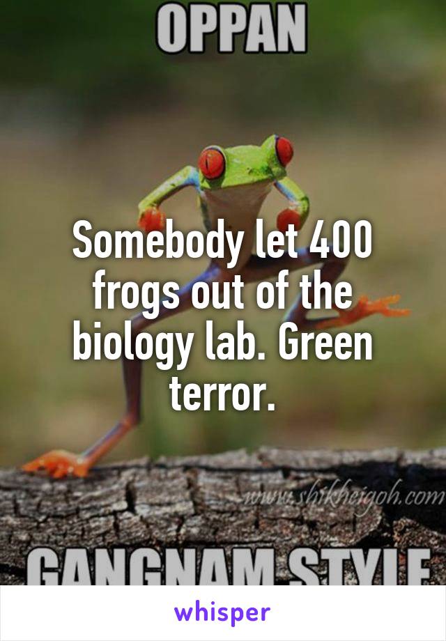 Somebody let 400 frogs out of the biology lab. Green terror.