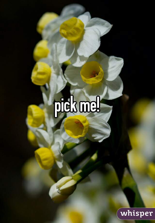 pick me!