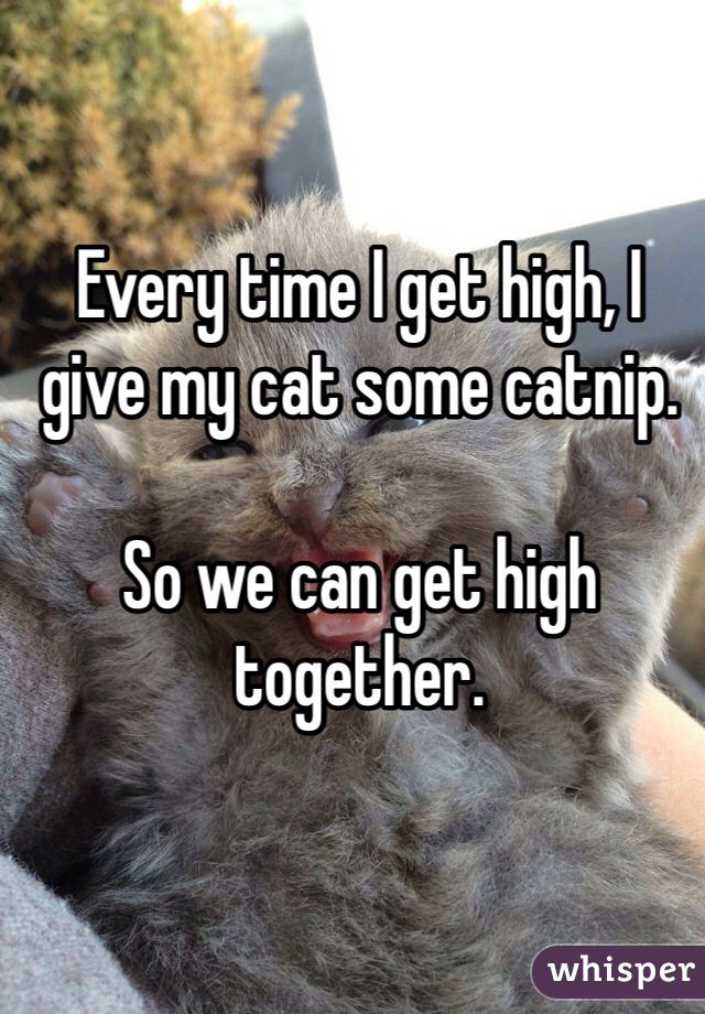 Every time I get high, I give my cat some catnip.

So we can get high together.