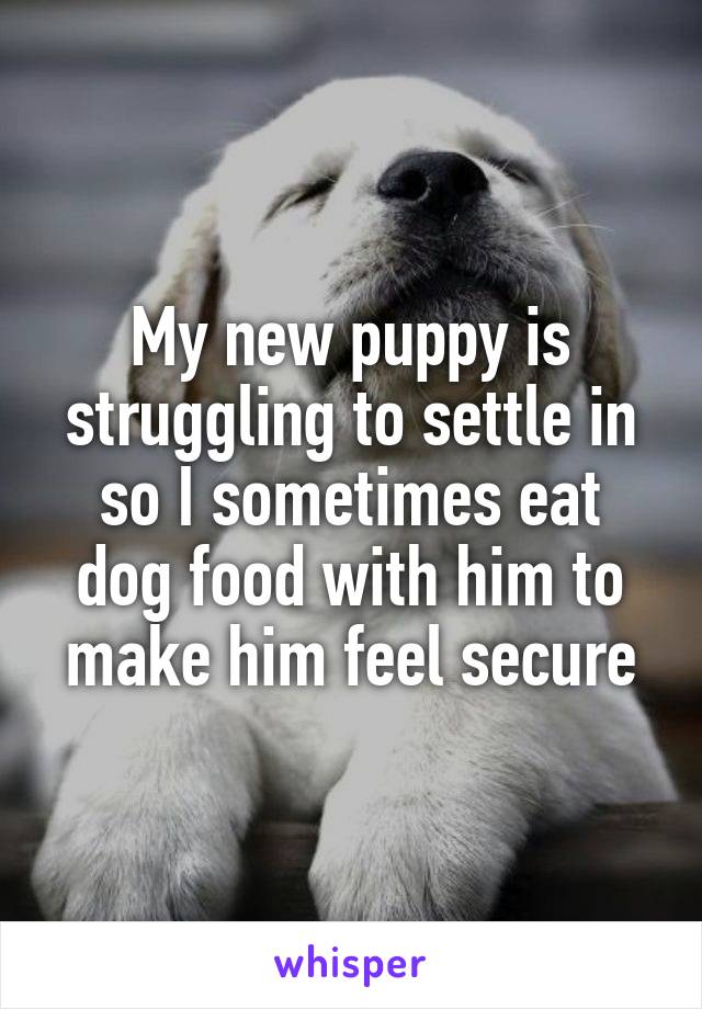 My new puppy is struggling to settle in so I sometimes eat dog food with him to make him feel secure