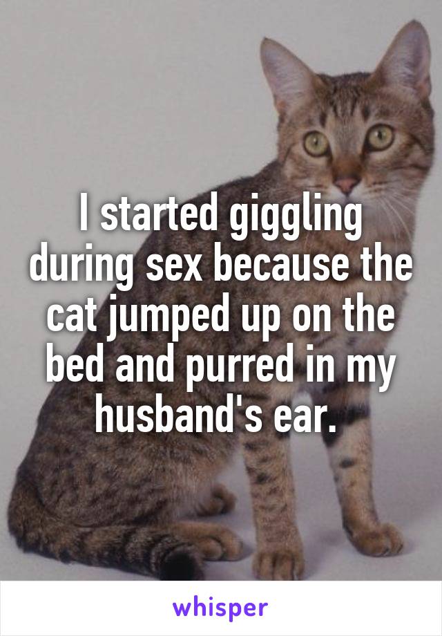I started giggling during sex because the cat jumped up on the bed and purred in my husband's ear. 