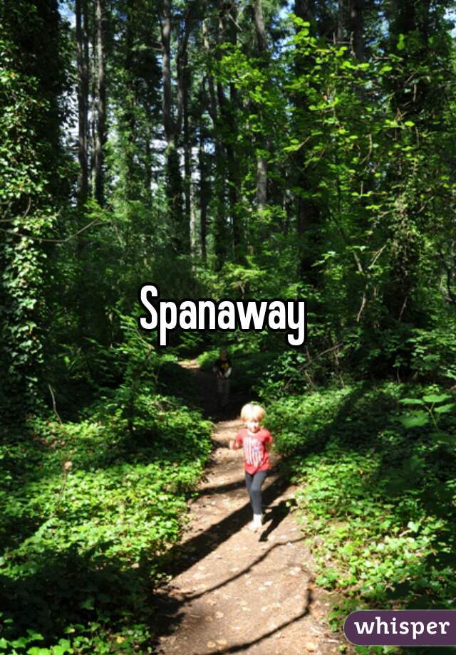 Spanaway 