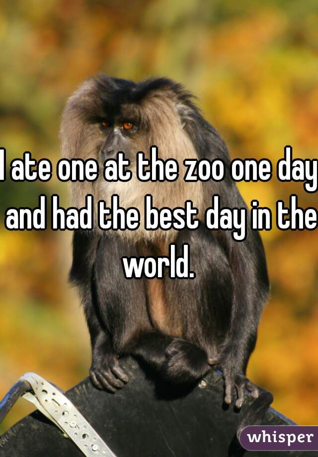 I ate one at the zoo one day and had the best day in the world. 