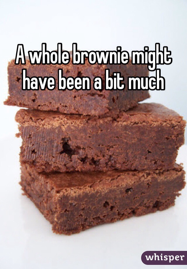 A whole brownie might have been a bit much