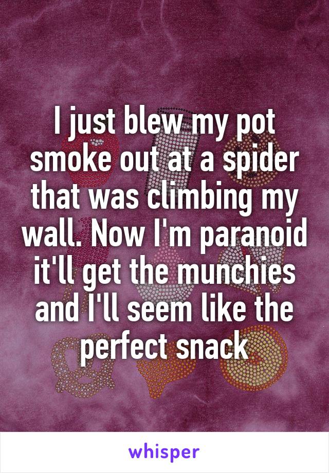 I just blew my pot smoke out at a spider that was climbing my wall. Now I'm paranoid it'll get the munchies and I'll seem like the perfect snack
