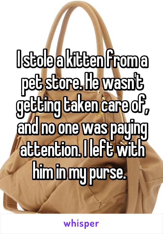I stole a kitten from a pet store. He wasn't getting taken care of, and no one was paying attention. I left with him in my purse.  