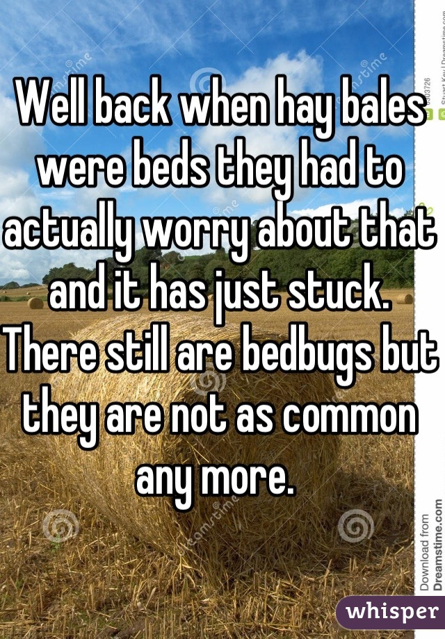 Well back when hay bales were beds they had to actually worry about that and it has just stuck. There still are bedbugs but they are not as common any more. 