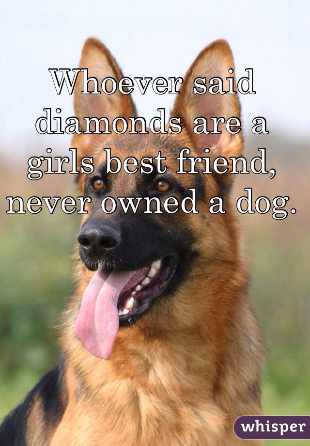 Whoever said diamonds are a girls best friend, never owned a dog.