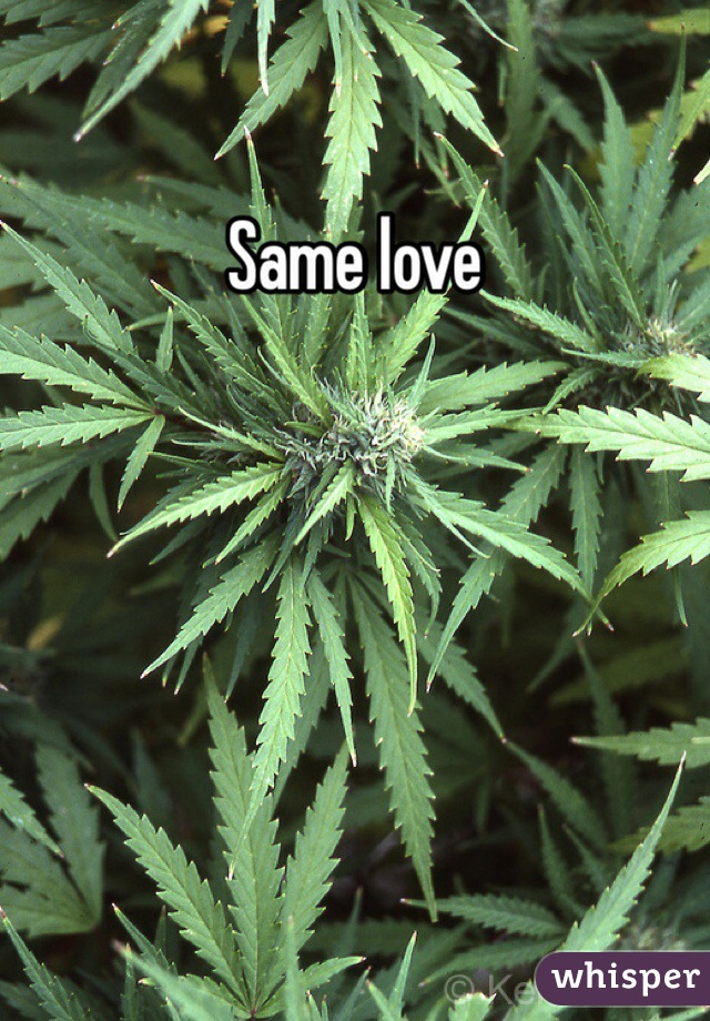 Same love 