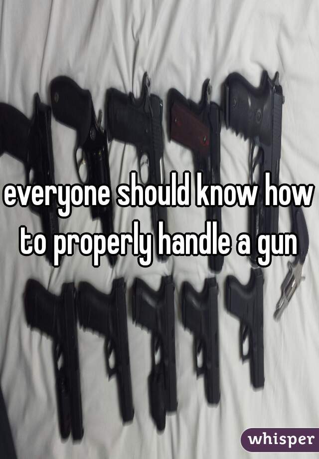 
everyone should know how to properly handle a gun 