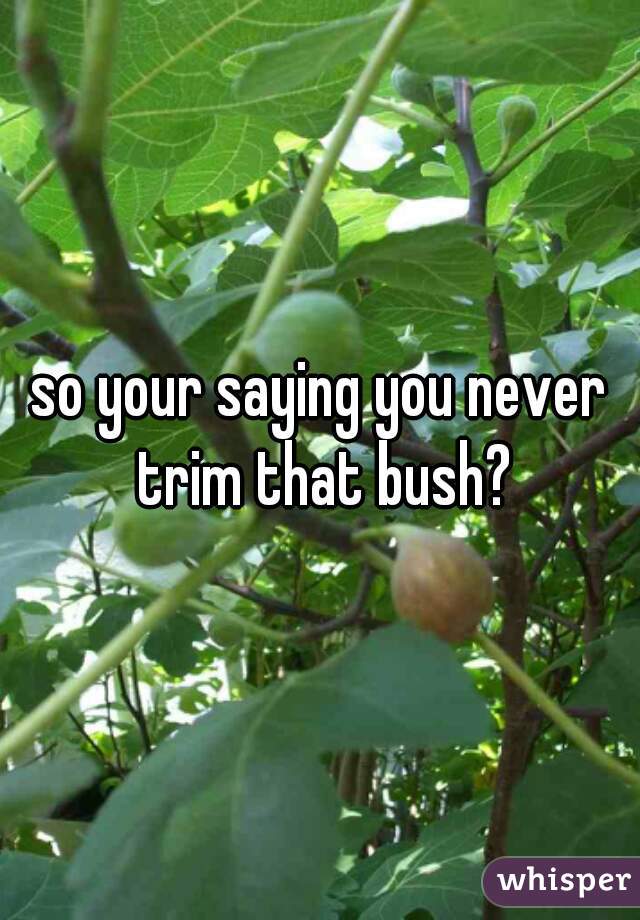 so your saying you never trim that bush?