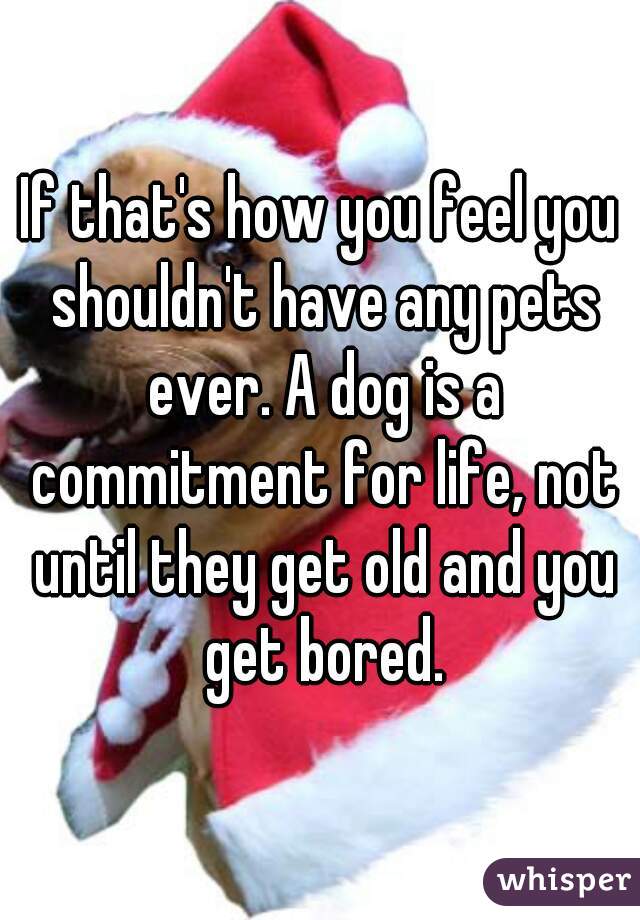 If that's how you feel you shouldn't have any pets ever. A dog is a commitment for life, not until they get old and you get bored.