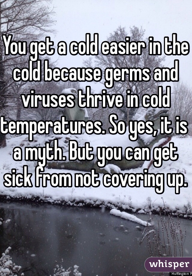 You get a cold easier in the cold because germs and viruses thrive in cold temperatures. So yes, it is a myth. But you can get sick from not covering up. 