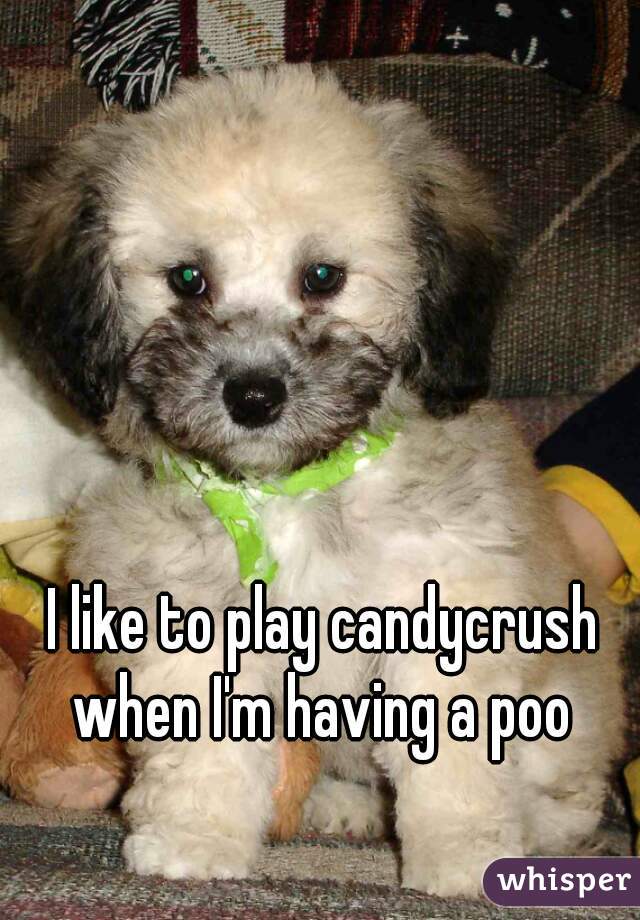 I like to play candycrush when I'm having a poo 