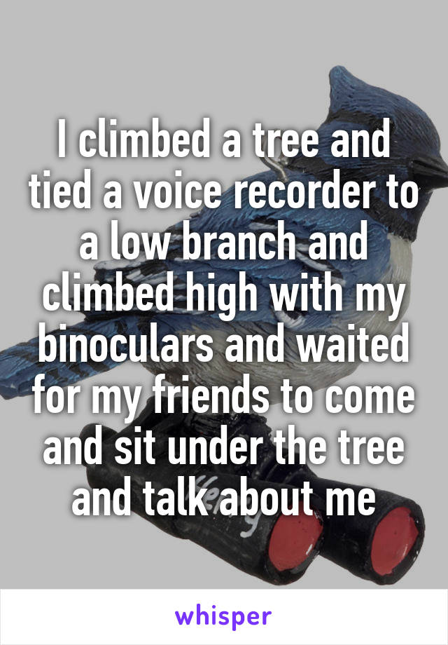 I climbed a tree and tied a voice recorder to a low branch and climbed high with my binoculars and waited for my friends to come and sit under the tree and talk about me
