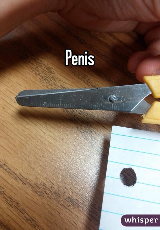 Penis
