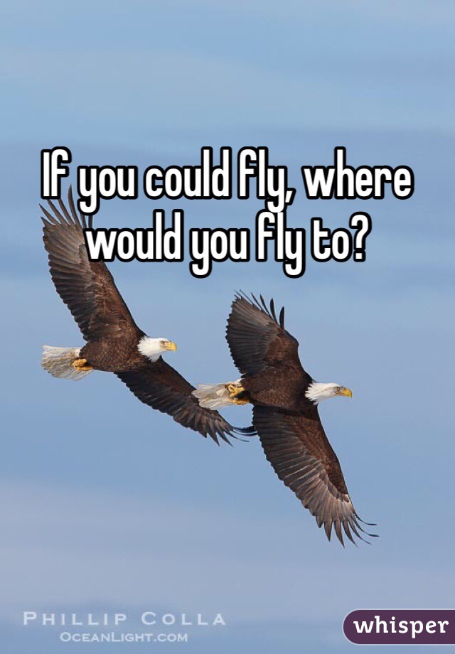 If you could fly, where would you fly to? 