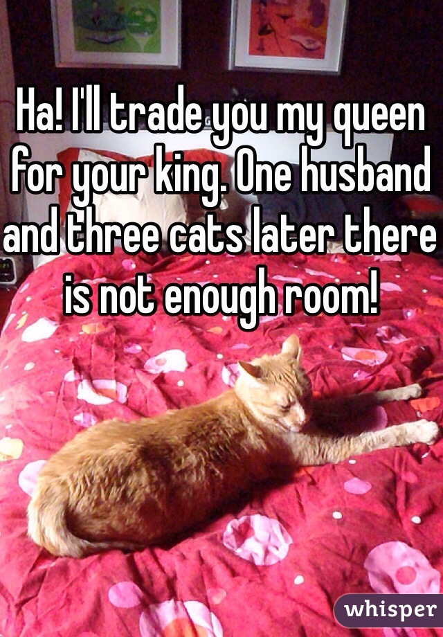 Ha! I'll trade you my queen for your king. One husband and three cats later there is not enough room!