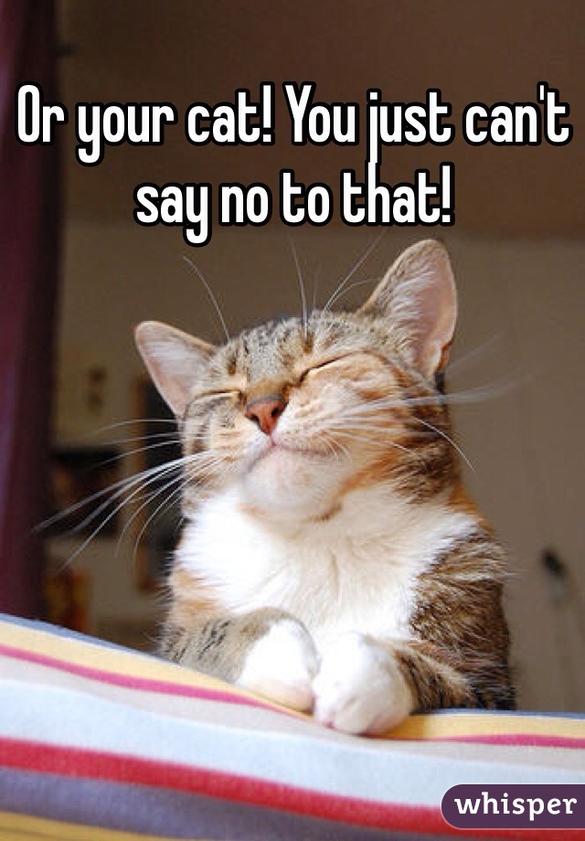 Or your cat! You just can't say no to that! 