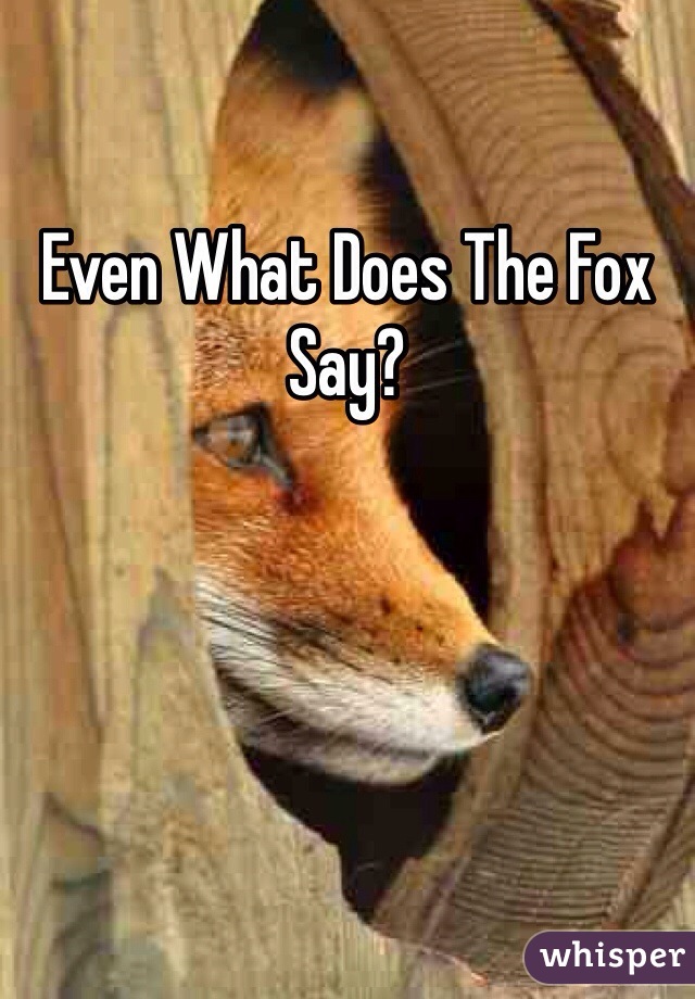 Even What Does The Fox Say?