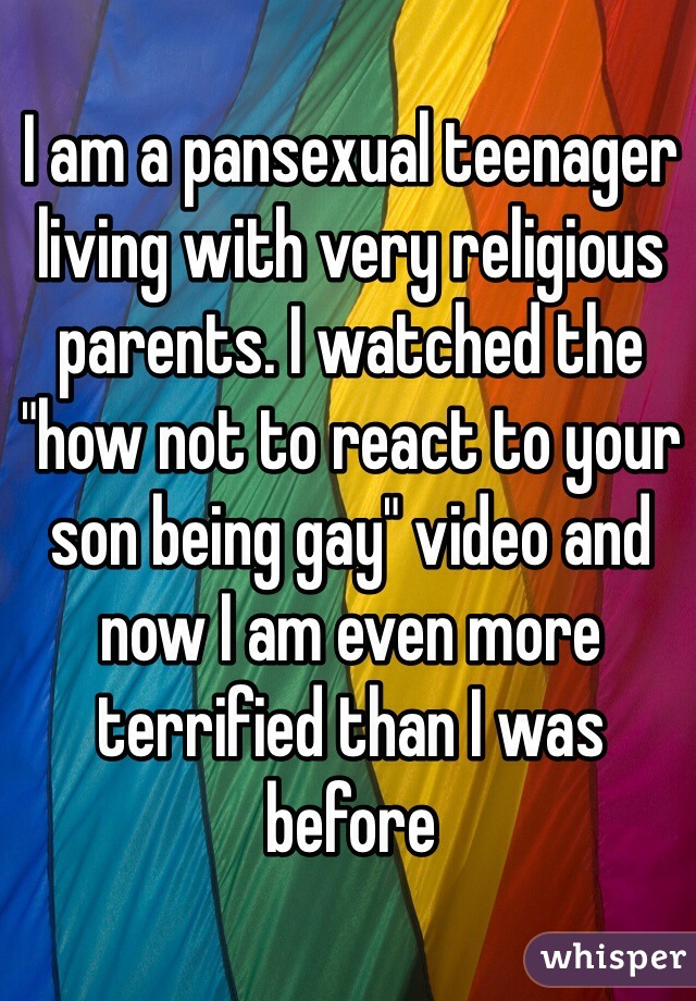 
I am a pansexual teenager living with very religious parents. I watched the "how not to react to your son being gay" video and now I am even more terrified than I was before