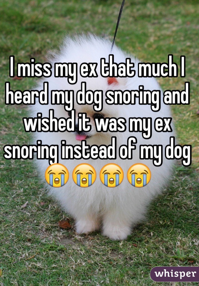 I miss my ex that much I heard my dog snoring and wished it was my ex snoring instead of my dog😭😭😭😭