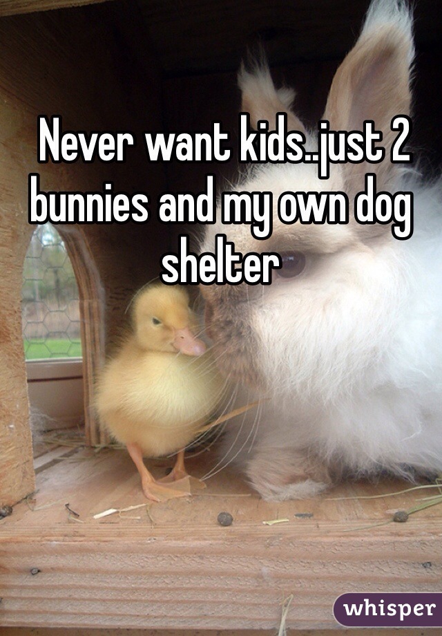  Never want kids..just 2 bunnies and my own dog shelter