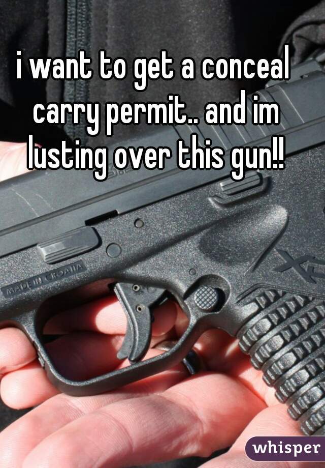 i want to get a conceal carry permit.. and im lusting over this gun!!