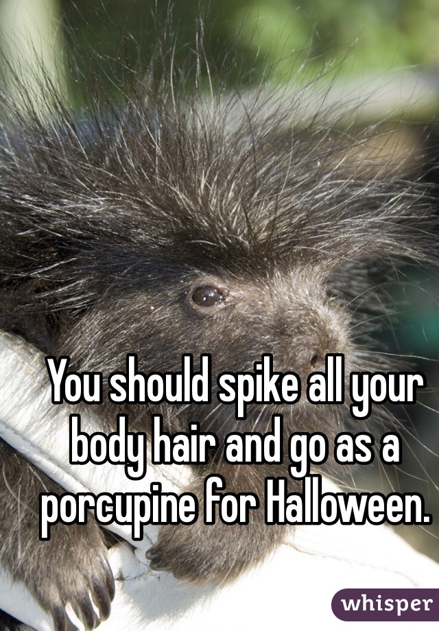 You should spike all your body hair and go as a porcupine for Halloween.