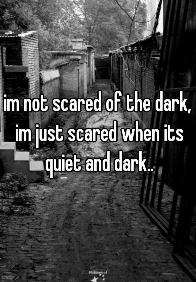 im-not-scared-of-the-dark-im-just-scared-when-its-quiet-and-dark