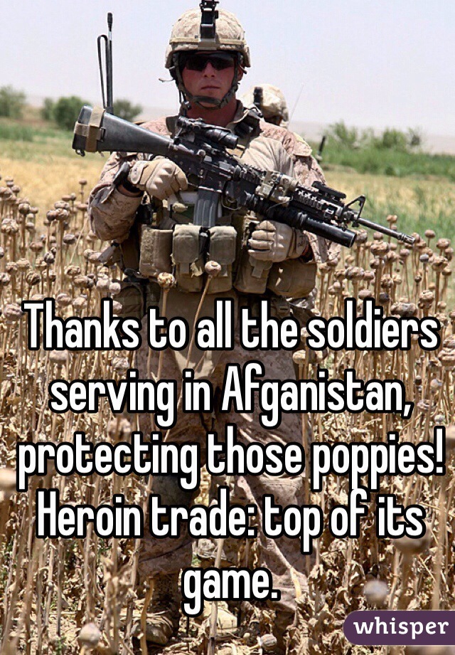 Thanks to all the soldiers serving in Afganistan, protecting those poppies! Heroin trade: top of its game.