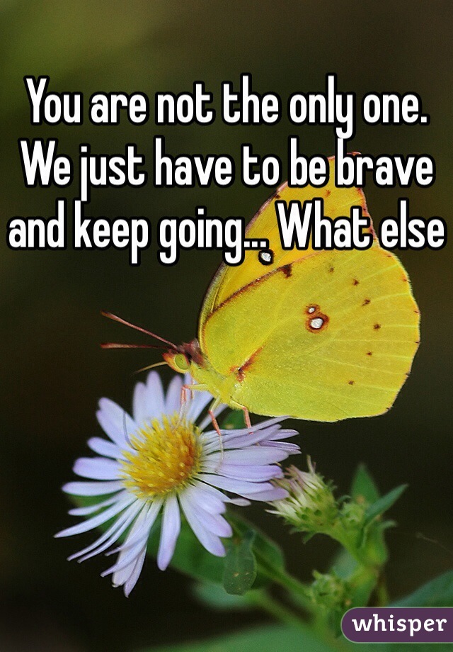 You are not the only one. We just have to be brave and keep going... What else