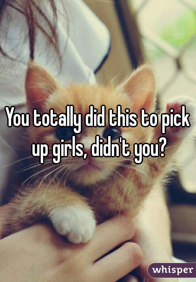 You totally did this to pick up girls, didn't you?