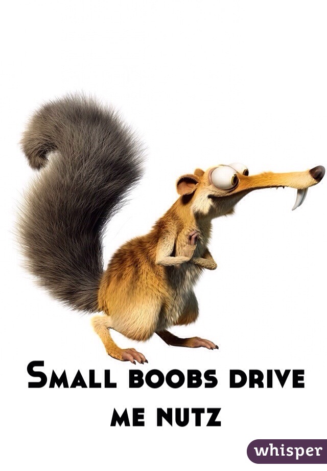 Small boobs drive me nutz 
