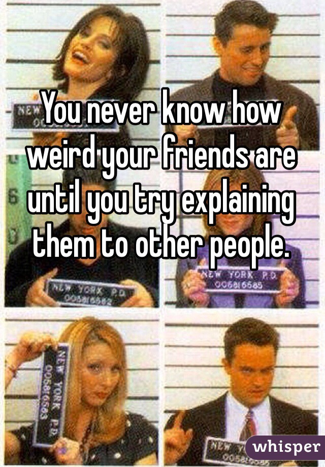 You never know how weird your friends are until you try explaining them to other people.