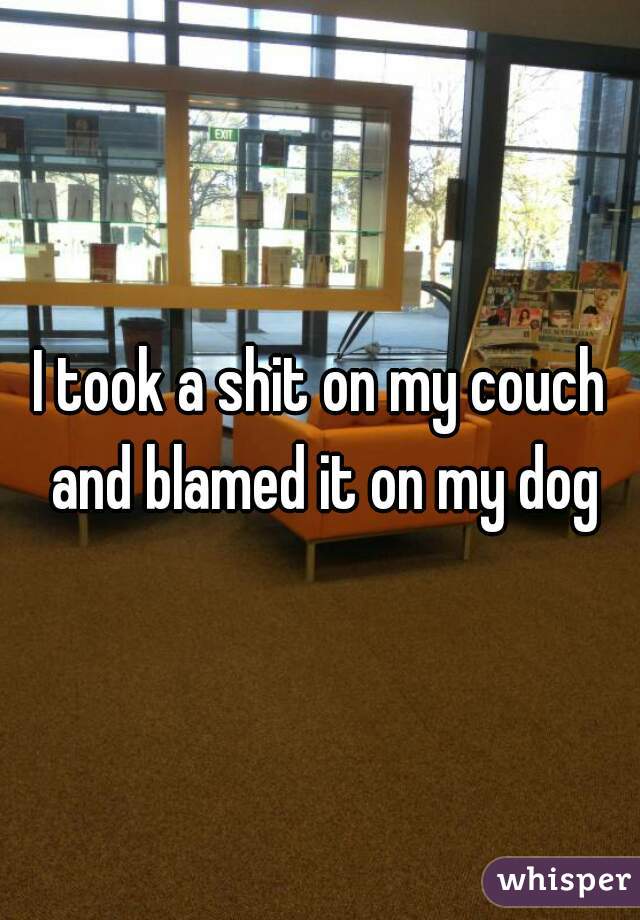 I took a shit on my couch and blamed it on my dog