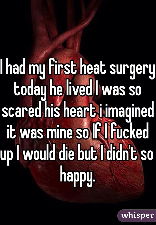 I had my first heat surgery today he lived I was so scared his heart i imagined it was mine so If I fucked up I would die but I didn't so happy. 