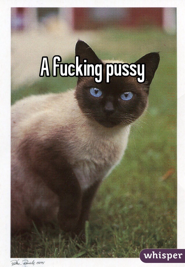 A fucking pussy