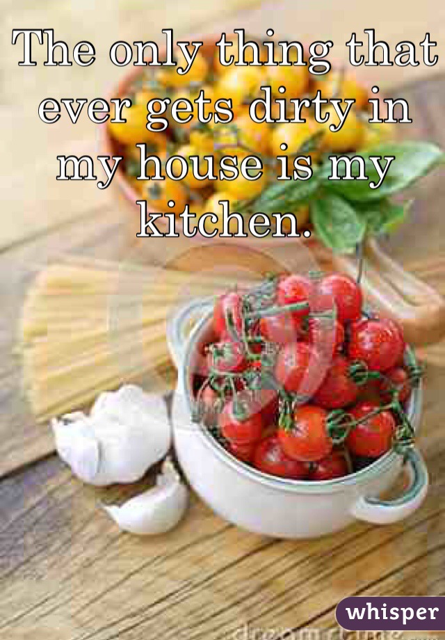 The only thing that ever gets dirty in my house is my kitchen.   