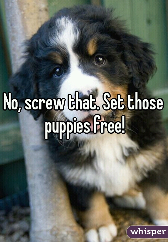 No, screw that. Set those puppies free!