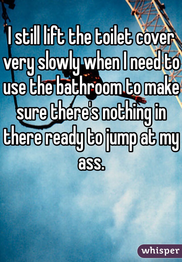 I still lift the toilet cover very slowly when I need to use the bathroom to make sure there's nothing in there ready to jump at my ass.