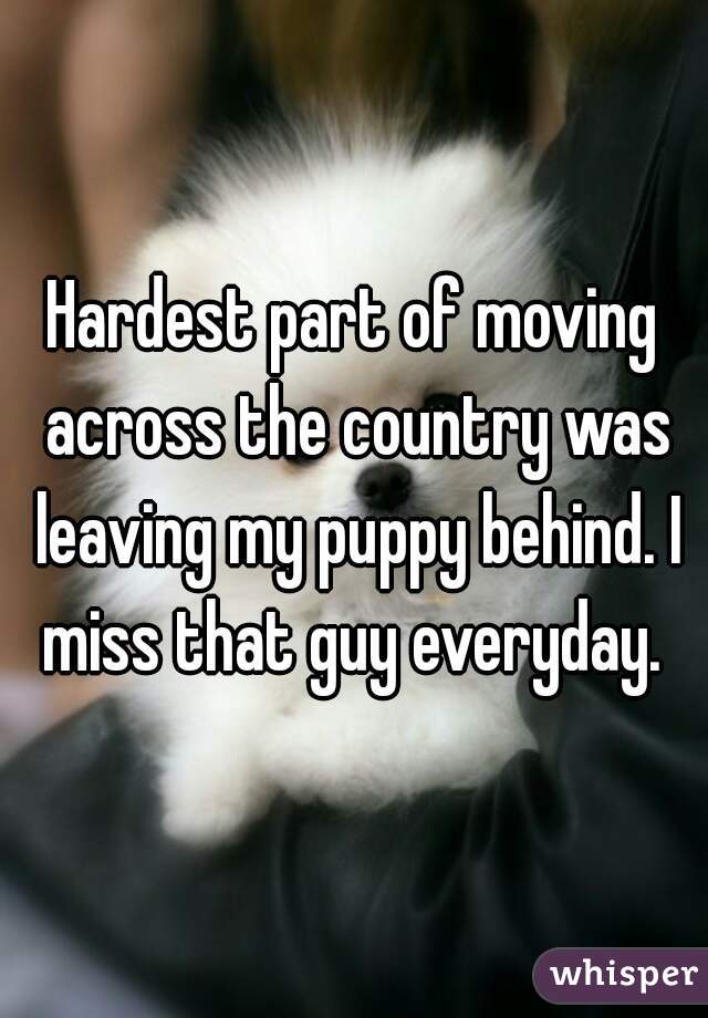 Hardest part of moving across the country was leaving my puppy behind. I miss that guy everyday. 