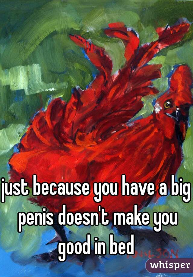 just because you have a big penis doesn't make you good in bed 