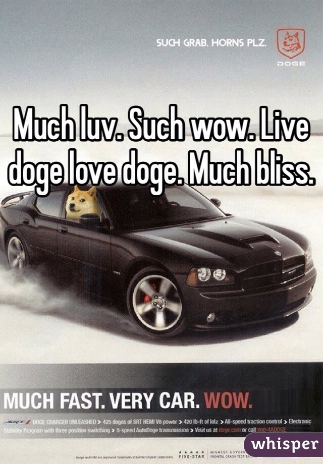Much luv. Such wow. Live doge love doge. Much bliss.  