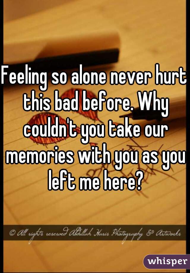 Feeling so alone never hurt this bad before. Why couldn't you take our memories with you as you left me here?