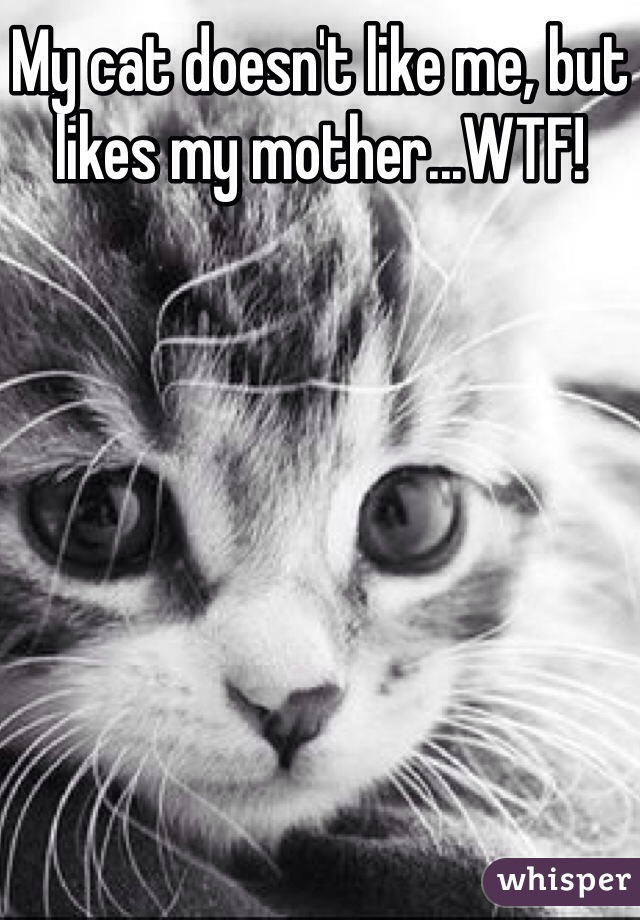 My cat doesn't like me, but likes my mother...WTF!