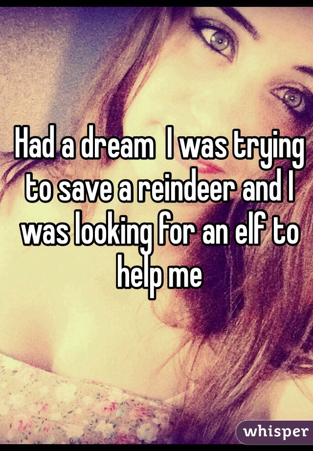 Had a dream  I was trying to save a reindeer and I was looking for an elf to help me 