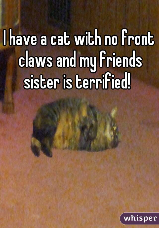 I have a cat with no front claws and my friends sister is terrified!  