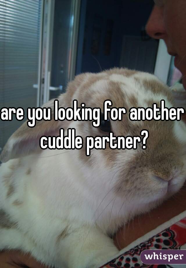 are you looking for another cuddle partner?